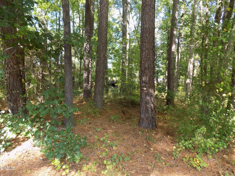 0 Country Club Dr, Louisburg, NC 27549