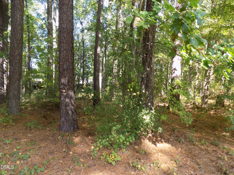 0 Country Club Dr, Louisburg, NC 27549