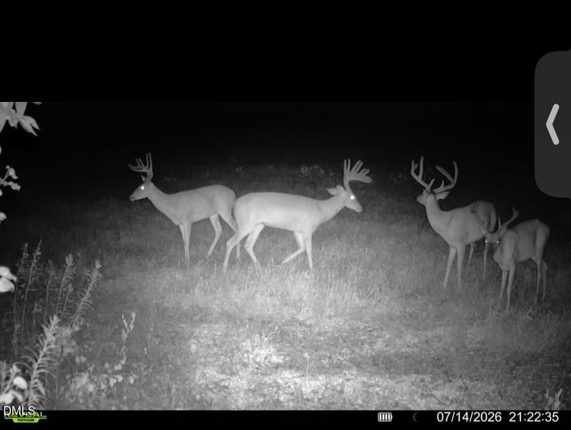 0 Crantock Rd Lot NA, Smithfield, NC 27577
