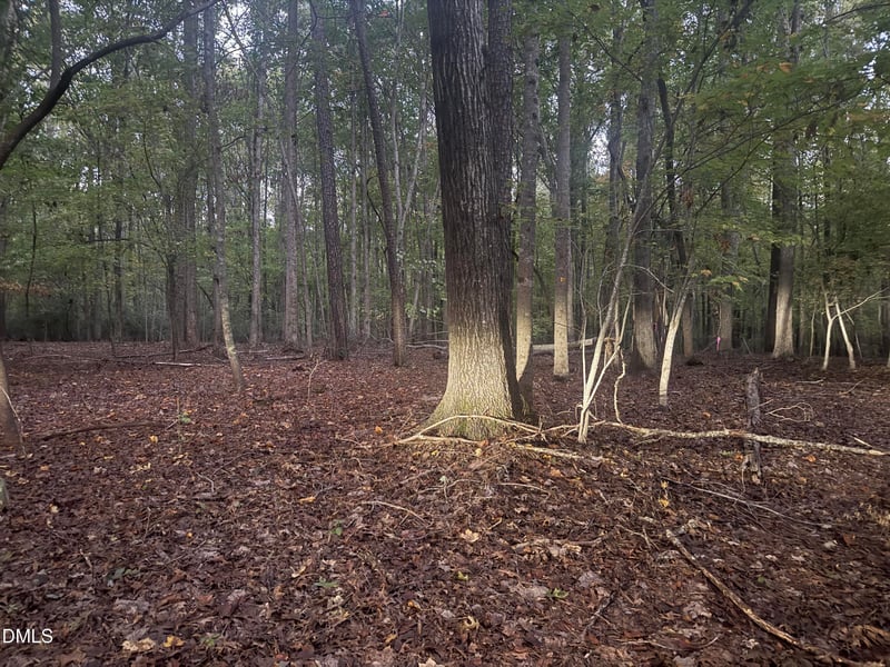 0 Dark Oaks Lot 4, Pittsboro, NC 27312