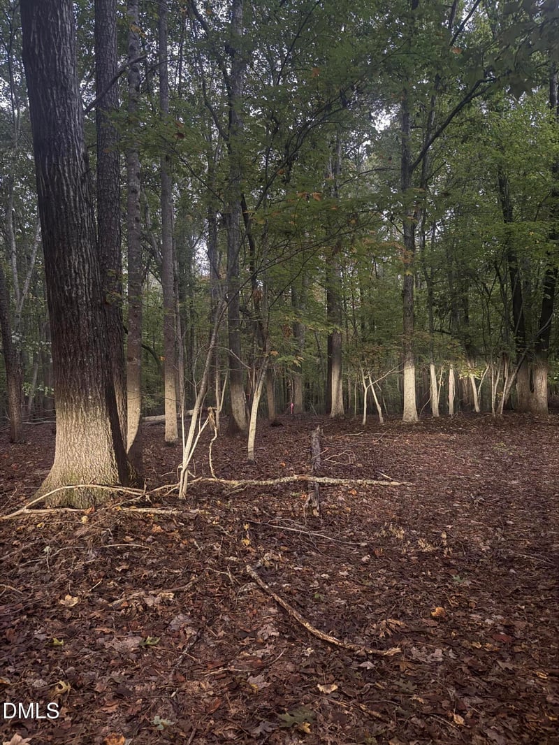 0 Dark Oaks Lot 4, Pittsboro, NC 27312