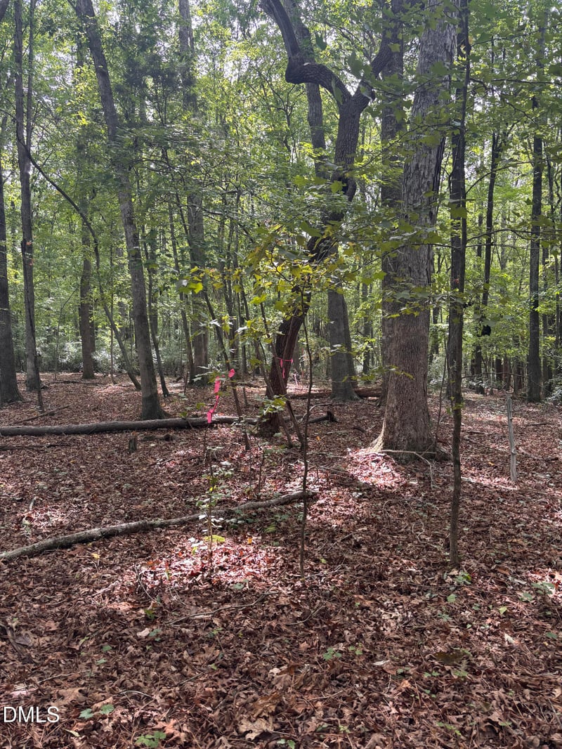 0 Dark Oaks Lot 4, Pittsboro, NC 27312