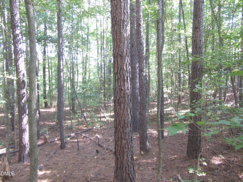 0 Family Manor Ln, Wendell, NC 27591