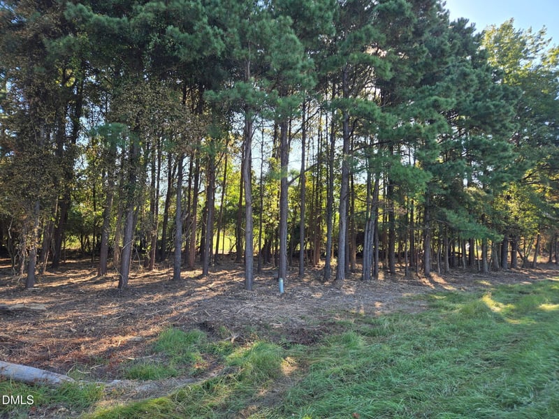 0 Godwin Lake Rd Lot A, Benson, NC 27504