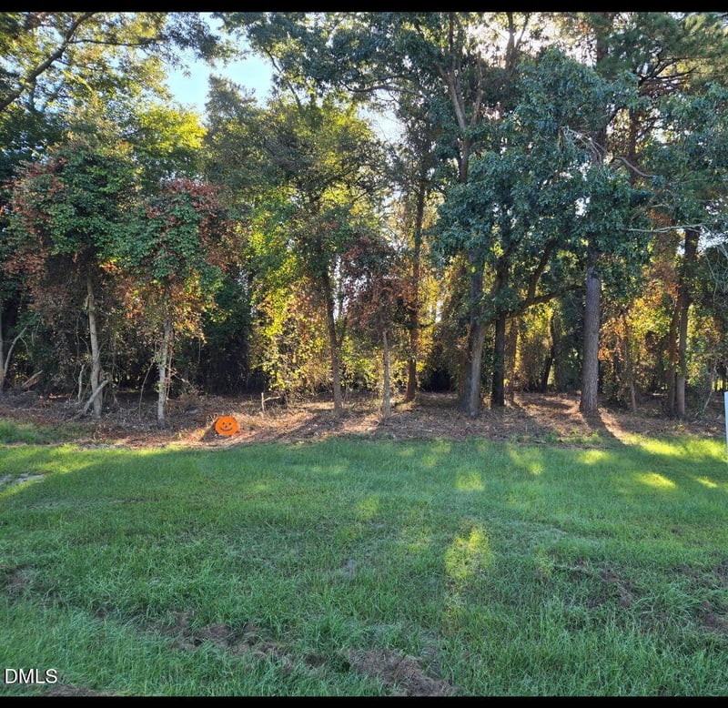 0 Godwin Lake Rd Lot C, Benson, NC 27504