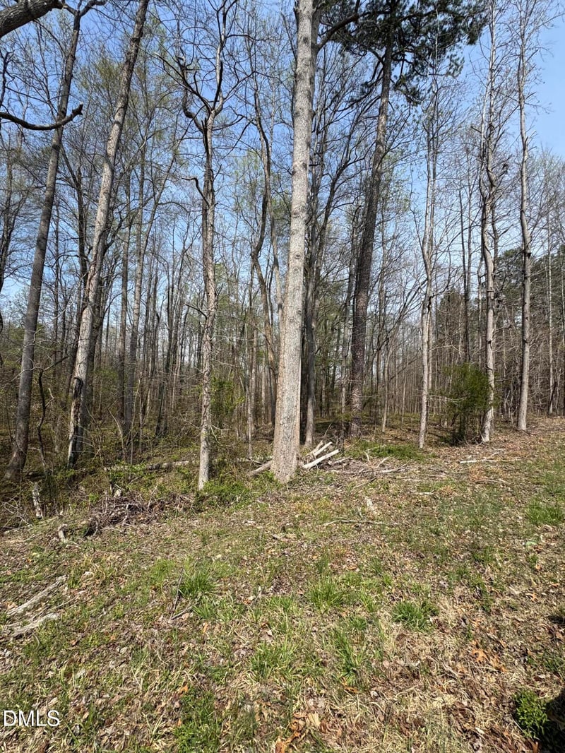 0 Hurdle Mills Rd, Roxboro, NC 27574