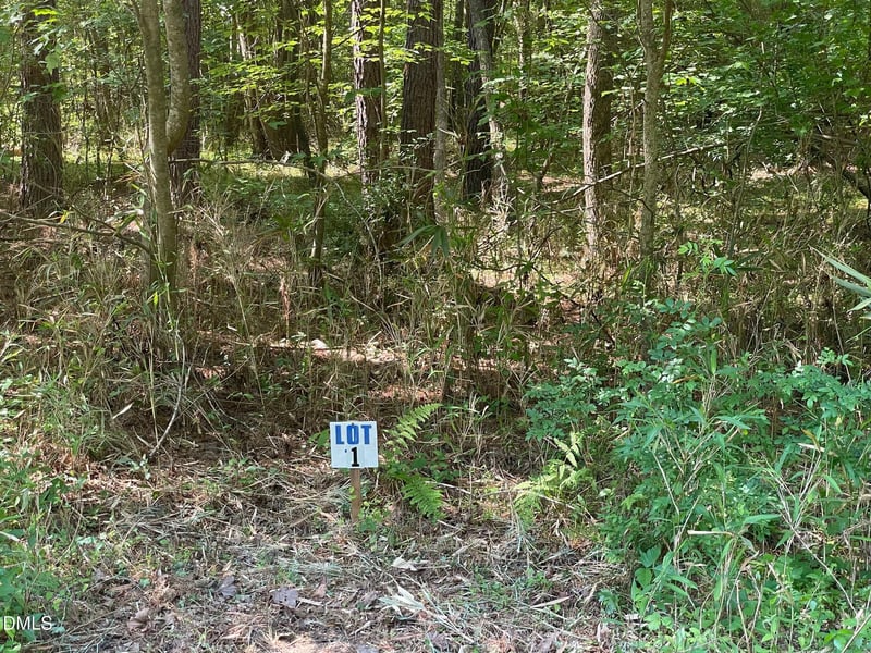0 N Landmark Rd Lot 1, Willow Springs, NC 27592