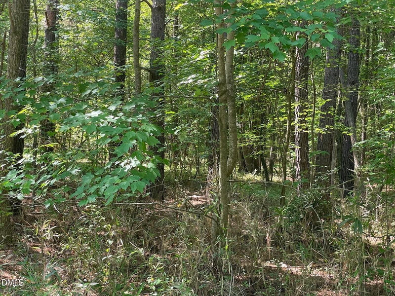 0 N Landmark Rd Lot 1, Willow Springs, NC 27592
