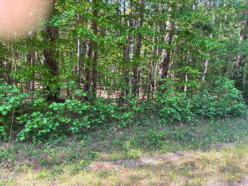 0 Landmark Rd N Lot 2, Willow Springs, NC 27592