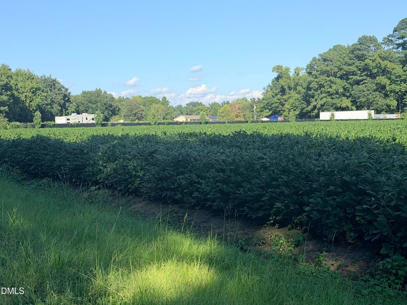 0 Myrtle Rd Lot 2, Selma, NC 27576
