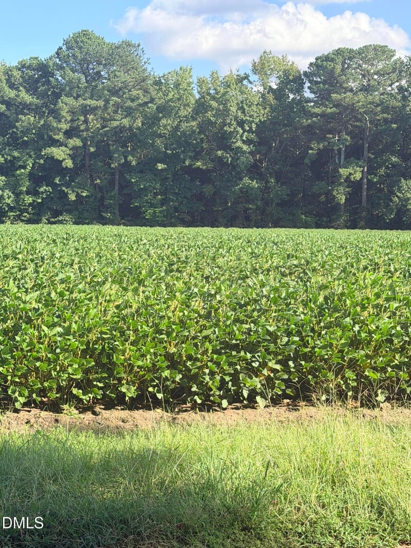 0 Myrtle Rd Lot 2, Selma, NC 27576