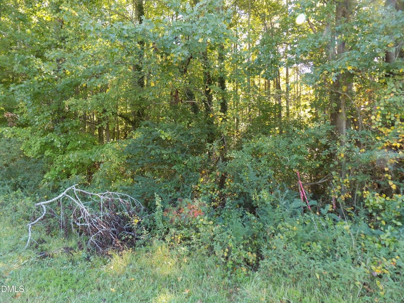 0 Perdues Rd Lot 1, Louisburg, NC 27549