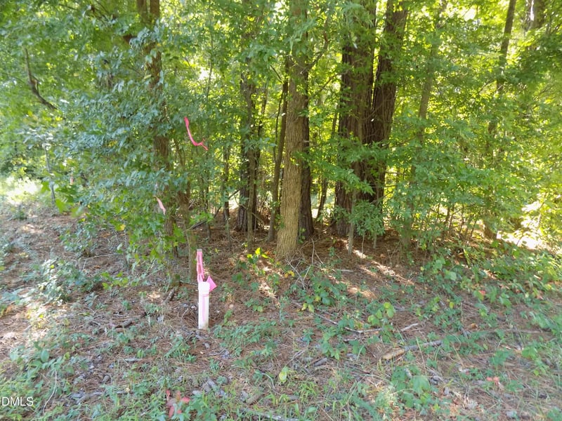 0 Perdues Rd Lot 1, Louisburg, NC 27549