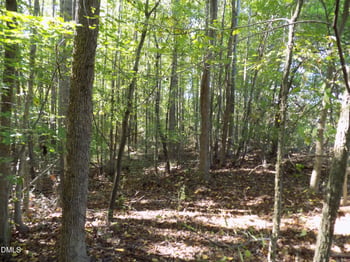 0 Perdues Rd Lot 1, Louisburg, NC 27549