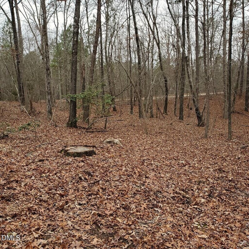 0 Steel Bridge Rd Lot 2, Sanford, NC 27330