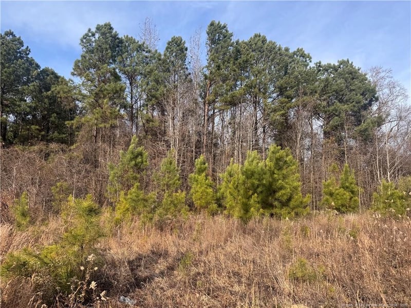 0 Tramway Rd, Sanford, NC 27330