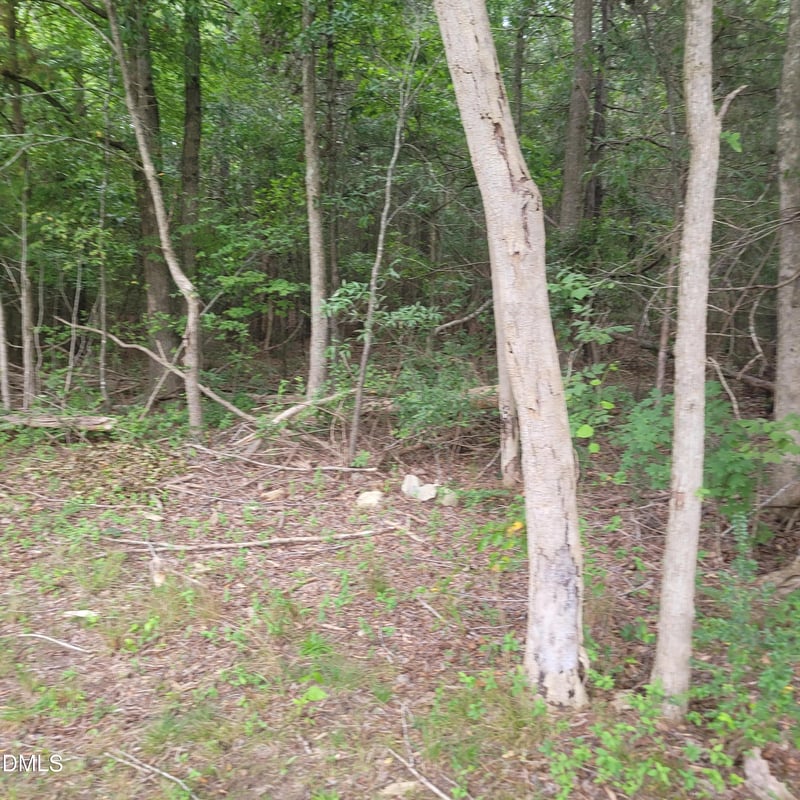 00 Highway 49 Lot 2, Mebane, NC 27302