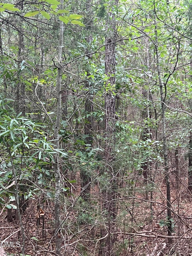00 Highway 49 Lot 2, Mebane, NC 27302
