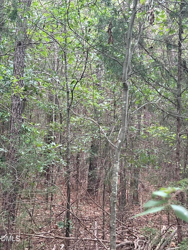 00 Highway 49 Lot 2, Mebane, NC 27302