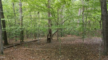 00 Rollins Mill Rd Lot 8, Holly Springs, NC 27540