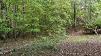 00 Rollins Mill Rd Lot 8, Holly Springs, NC 27540