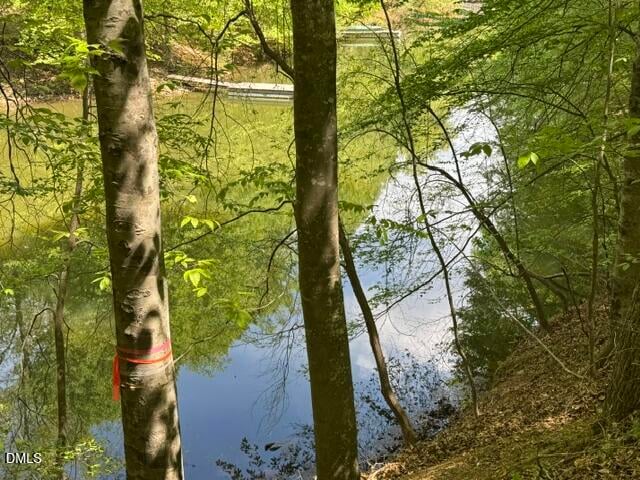 101 Stillwater Ln, Roxboro, NC 27574