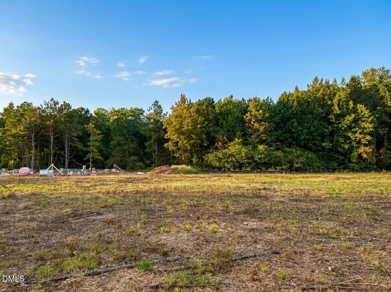 10300 Hamish Dr, Zebulon, NC 27597