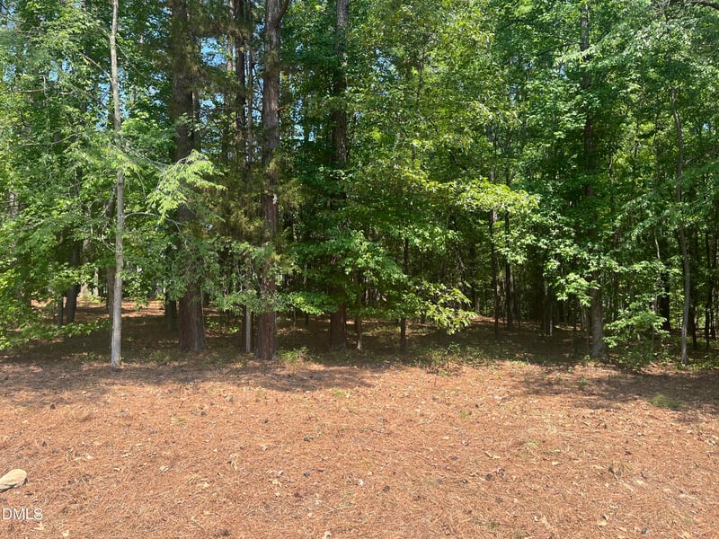 106 Spring Blossom Ln Lot 13, Durham, NC 27705