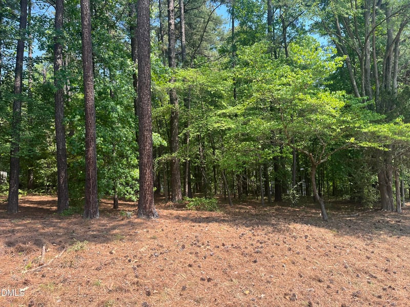 106 Spring Blossom Ln Lot 13, Durham, NC 27705