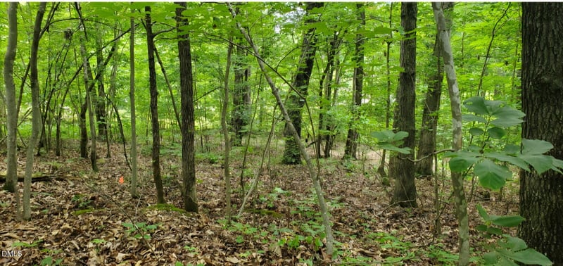 1131 Hummingbird Ln Lot 21, Liberty, NC 27298