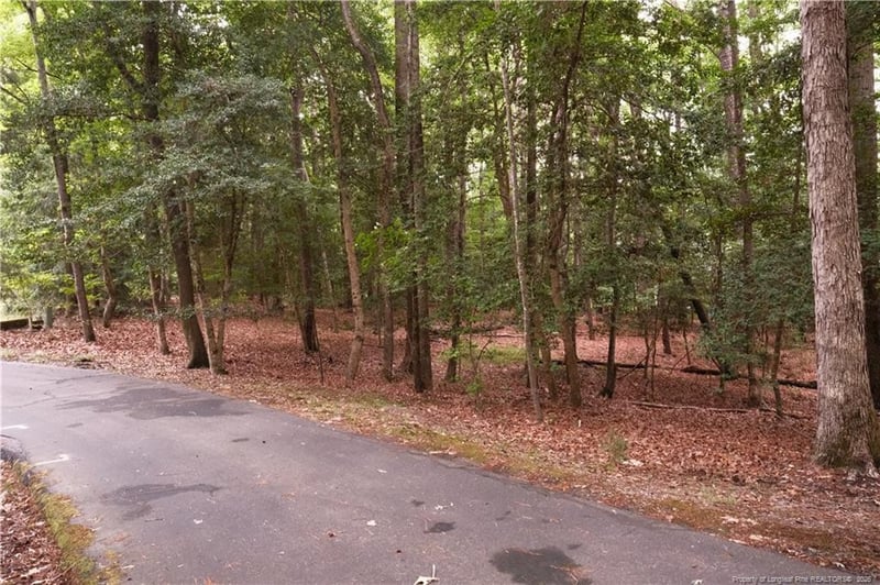 1144 Deerfoot Trl, Sanford, NC 27332