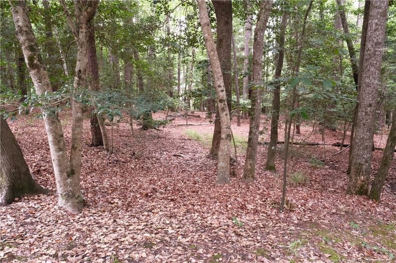 1144 Deerfoot Trl, Sanford, NC 27332