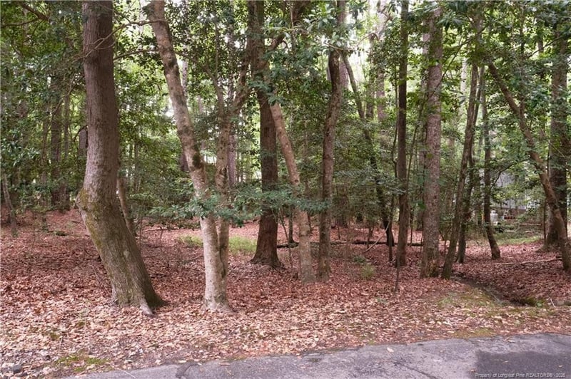 1144 Deerfoot Trl, Sanford, NC 27332