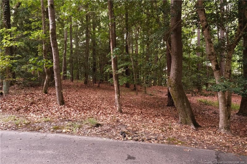 1144 Deerfoot Trl, Sanford, NC 27332