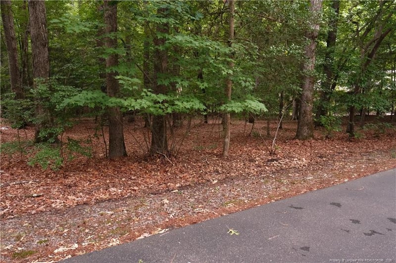 1146 Deerfoot Trl, Sanford, NC 27332
