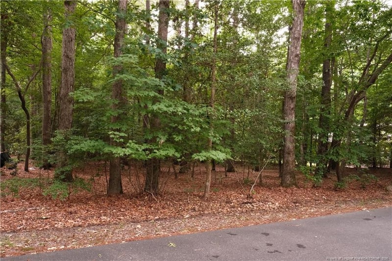 1146 Deerfoot Trl, Sanford, NC 27332