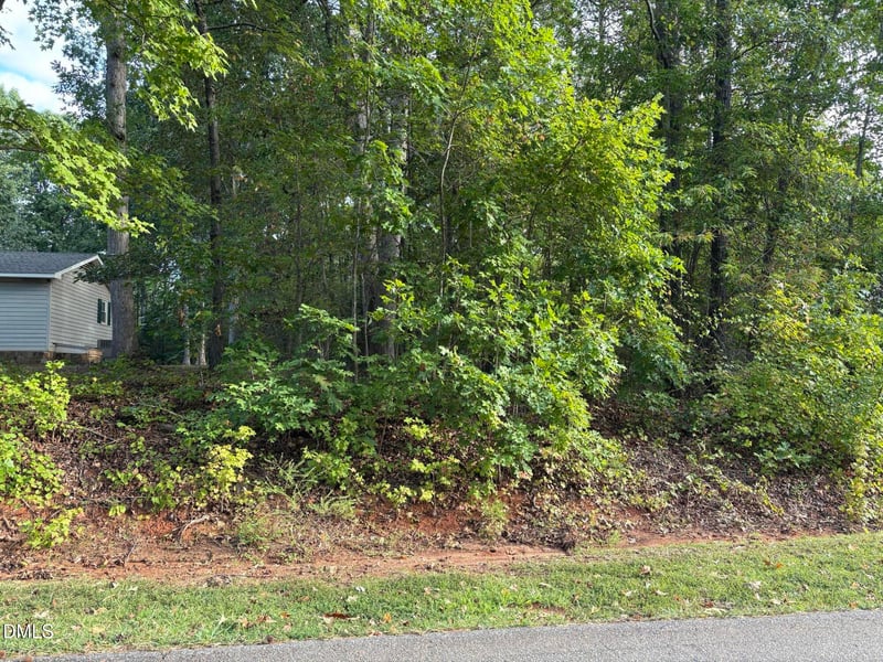115 Blackfoot Dr Lot 861, Louisburg, NC 27549