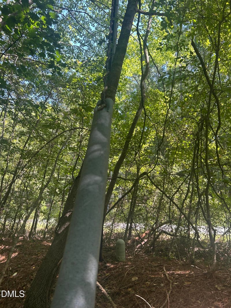 1317 Pine Trl Lot 16, Clayton, NC 27520