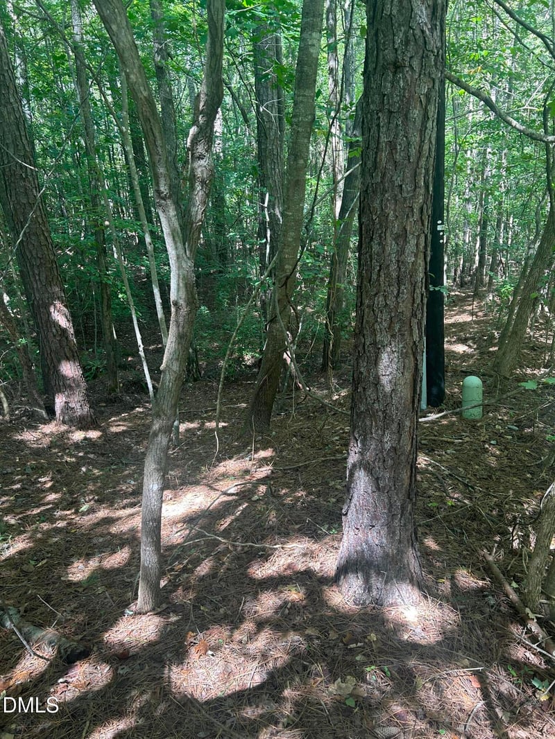 1317 Pine Trl Lot 16, Clayton, NC 27520