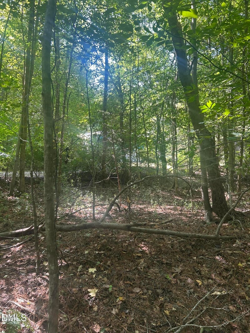 1317 Pine Trl Lot 16, Clayton, NC 27520