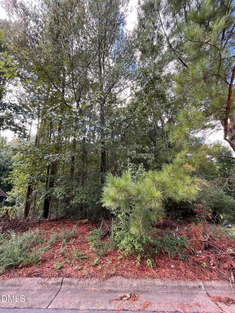 1318 Elmira Ave Lot 04, Durham, NC 27707