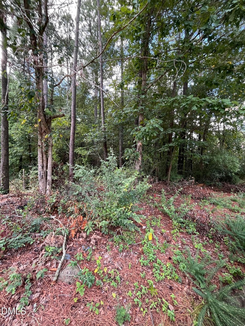 1318 Elmira Ave Lot 04, Durham, NC 27707