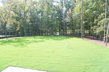 1325 Sanctuary Pond Dr, Raleigh, NC 27603
