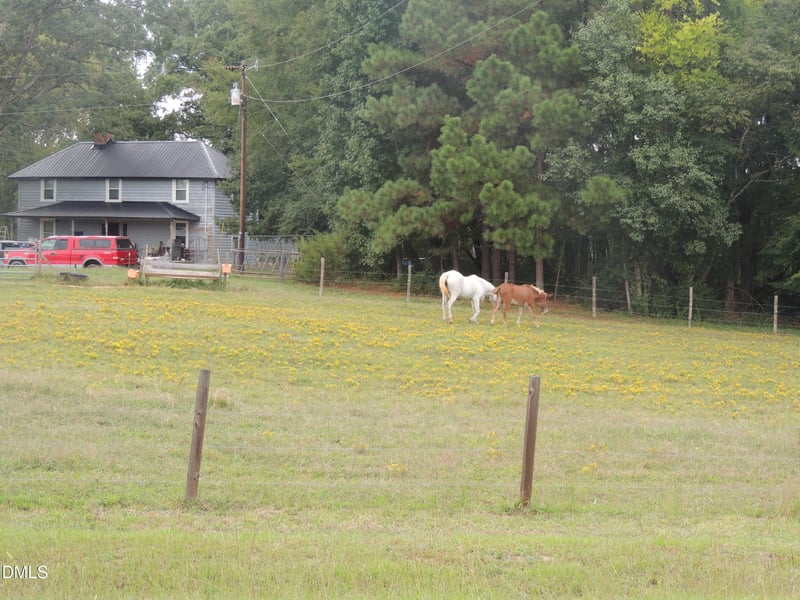 1353 Beasley Rd Lot 1, Louisburg, NC 27549