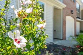 152 Walking Path Pl, Hillsborough, NC 27278