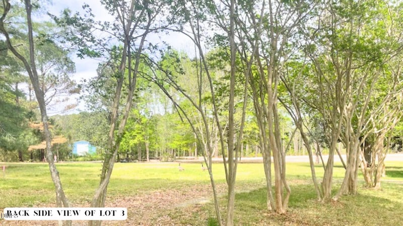 155 Weston Sky Ln Lot 3, Fuquay Varina, NC 27526