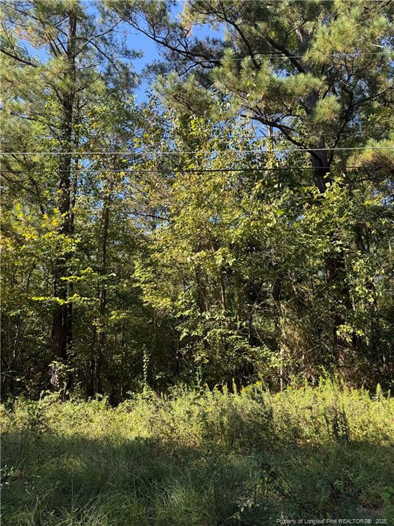 1637 Rose Bud Dr, Fayetteville, NC 28312