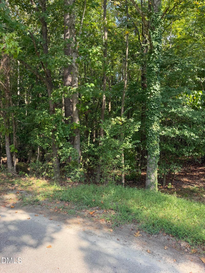 176 Alan Ln Lot 72, Clayton, NC 27520