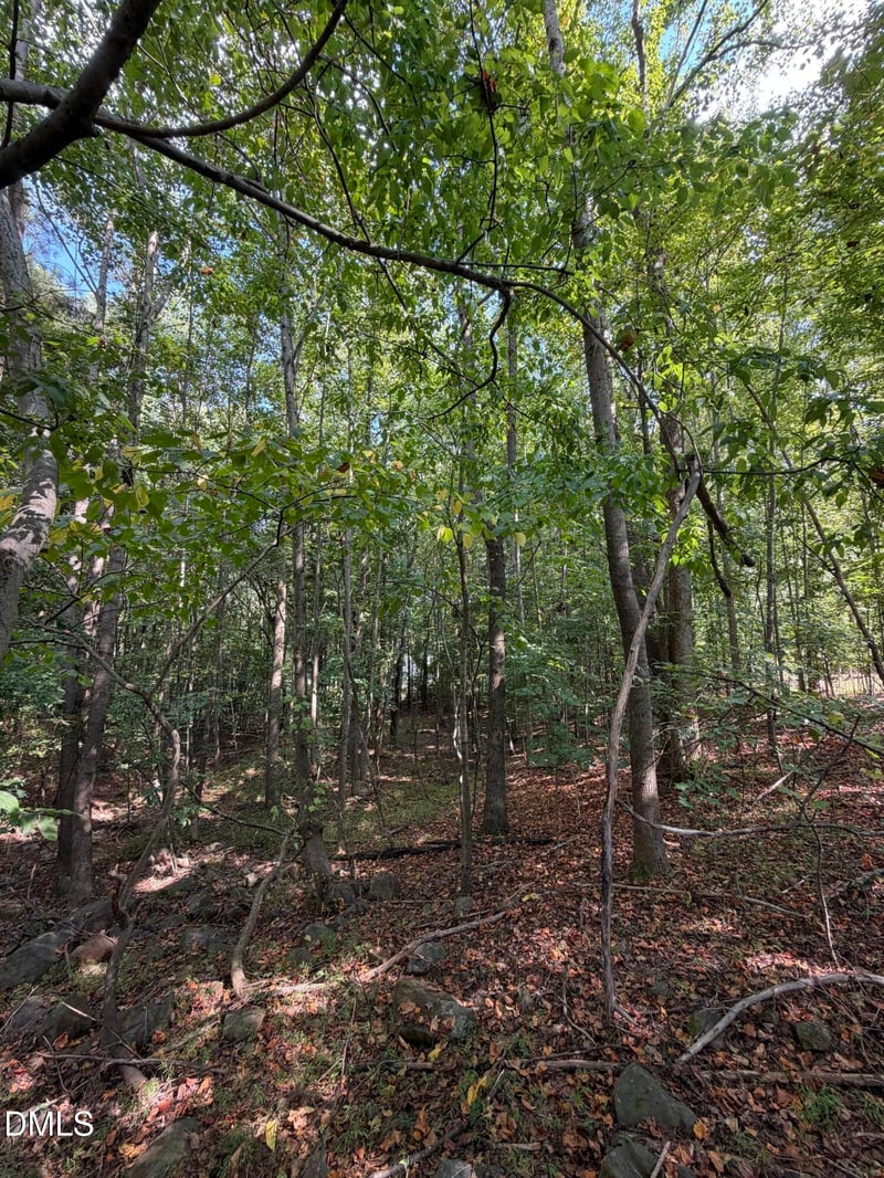 176 Alan Ln Lot 72, Clayton, NC 27520