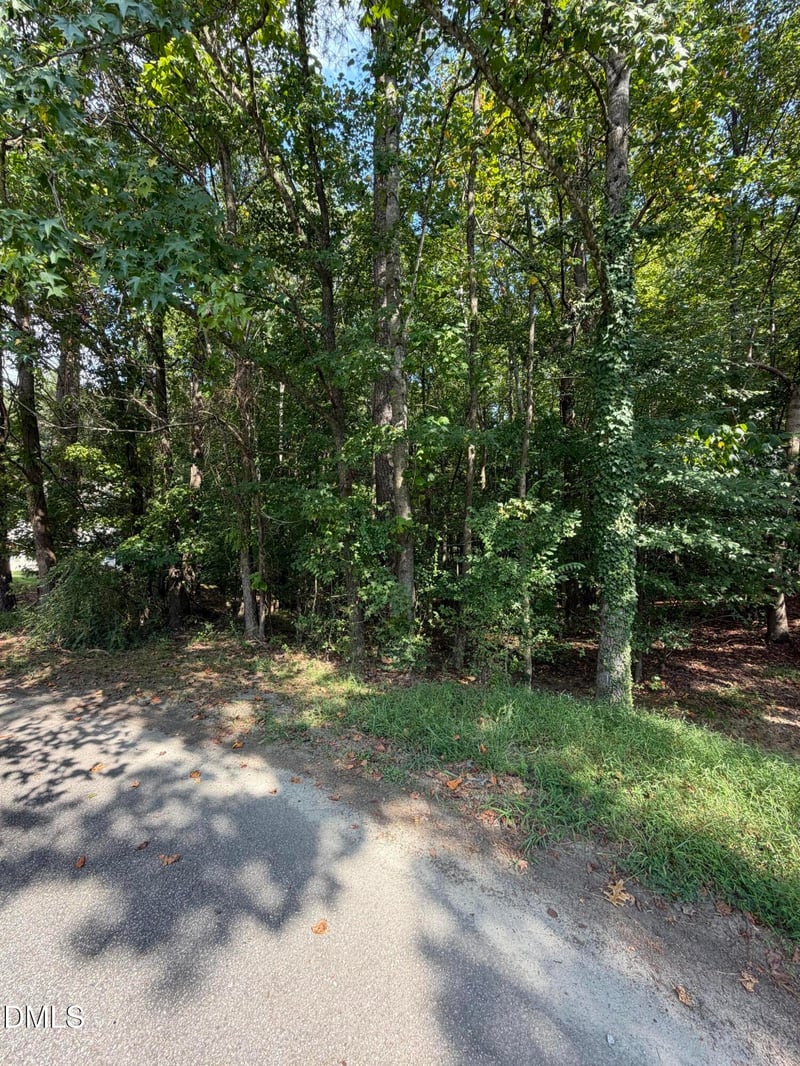 176 Alan Ln Lot 72, Clayton, NC 27520